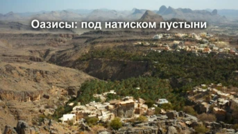 Оазисы: под натиском пустыни