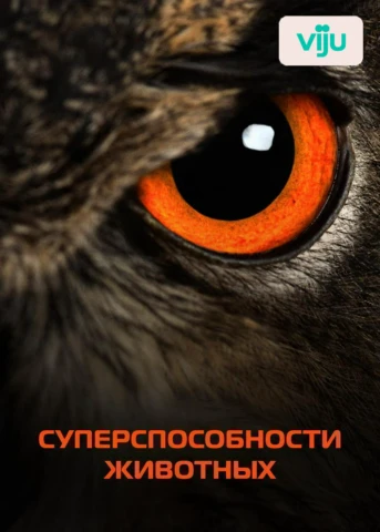 Зрение