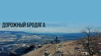 Дорожный бродяга