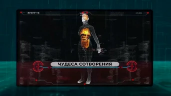 Чудеса сотворения