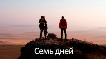 Семь дней