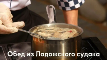 Обед из Ладожского судака