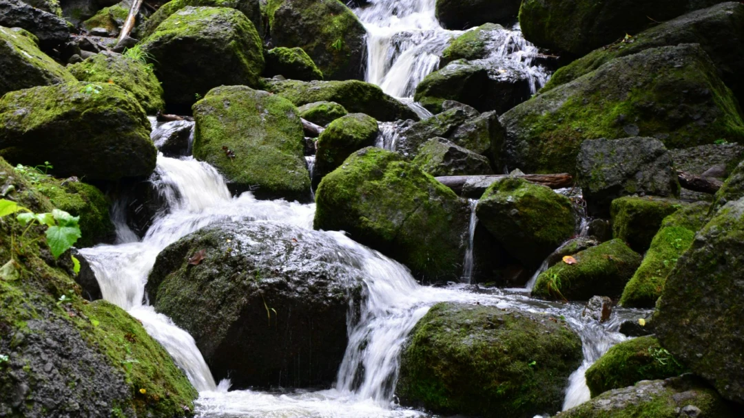 Передача Голубевский водопад
