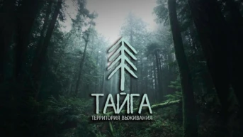 Тайга