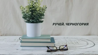 Ручей. Черногория