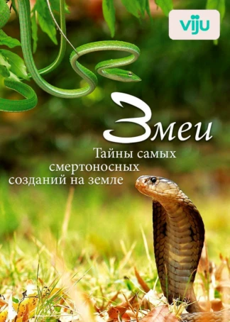 Змеи. Тайны самых смертоносных созданий на земле