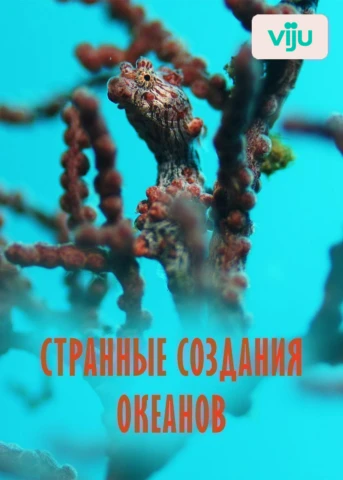 Странные морские виды
