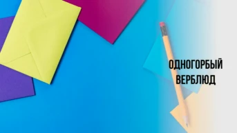 Одногорбый верблюд