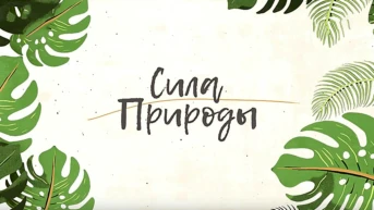 Сила природы