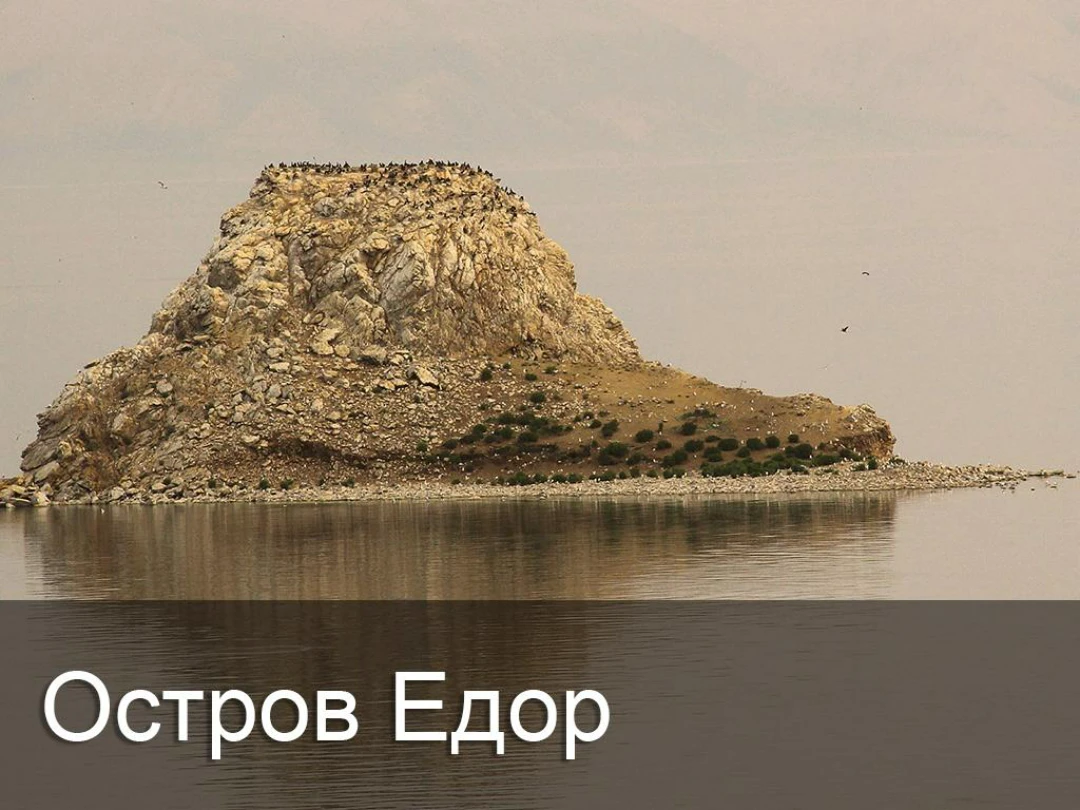 Передача Остров Едор