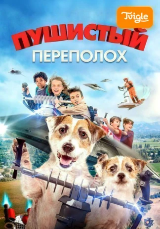 Пушистый переполох