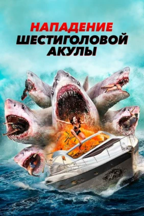 Нападение шестиголовой акулы