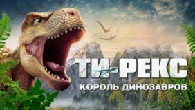 Трейлер 1