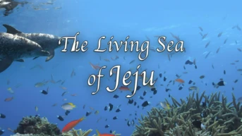 The living sea of jeju