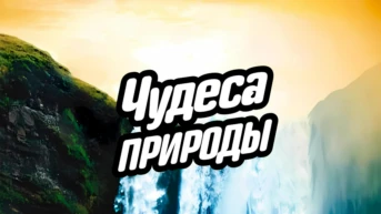 Чудеса природы