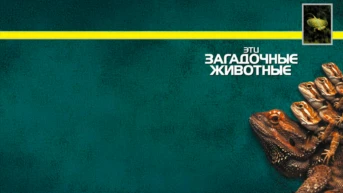 BBC: Эти загадочные животные