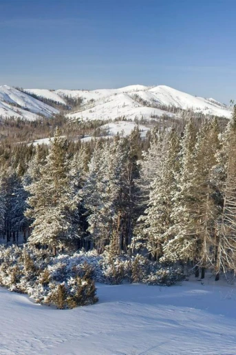 Хребет Крака