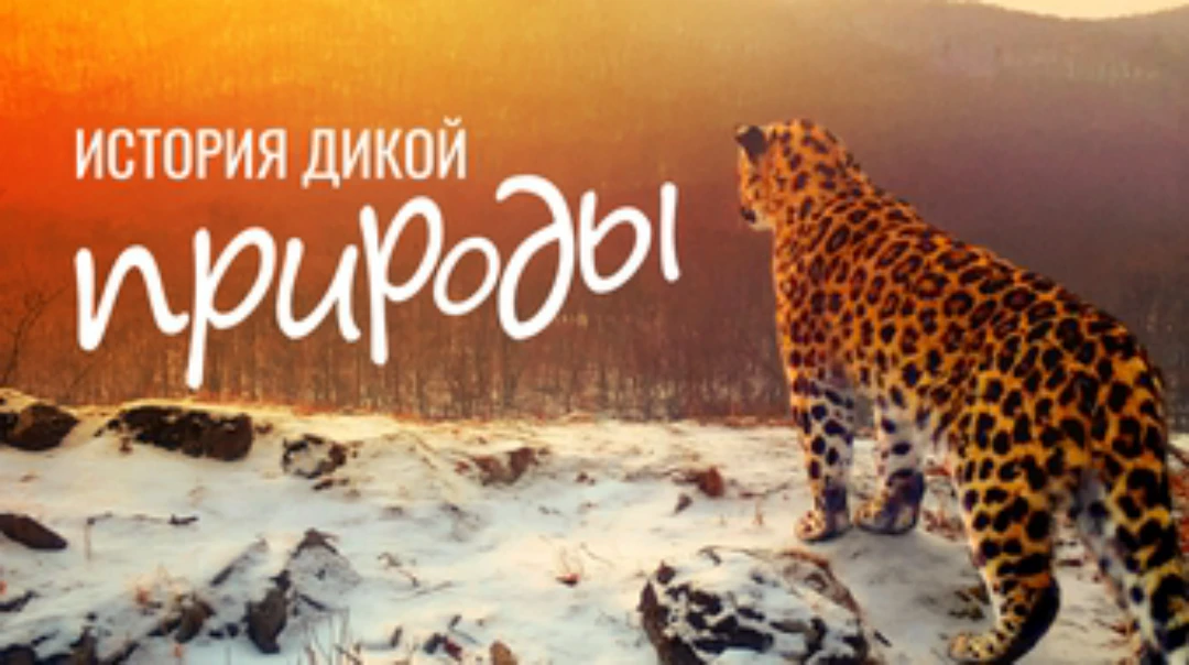 Сериал История дикой природы