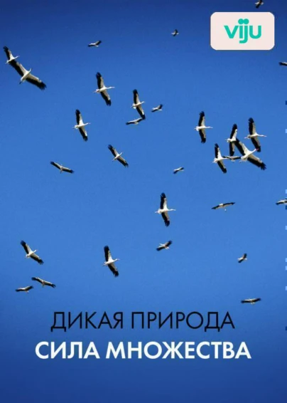 Дикая природа: сила множества