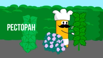 Ресторан