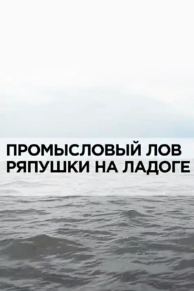 Промысловый лов ряпушки на Ладоге