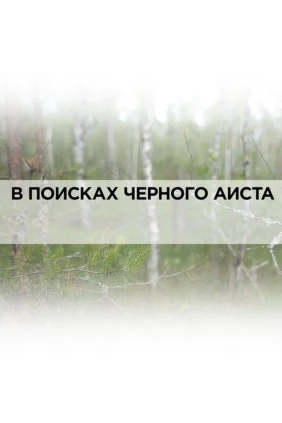 В поисках чёрного аиста