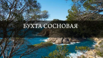 Бухта Сосновая