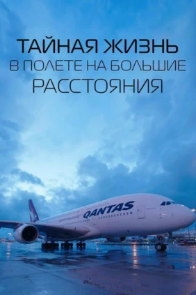 Тайная жизнь в полёте на большие расстояния