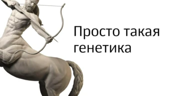 Просто такая генетика
