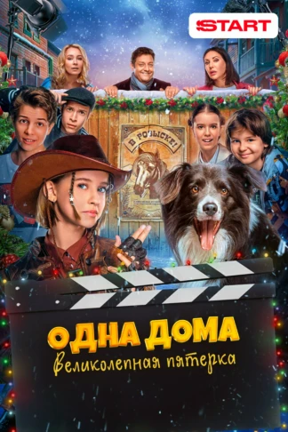 Одна дома: Великолепная пятерка