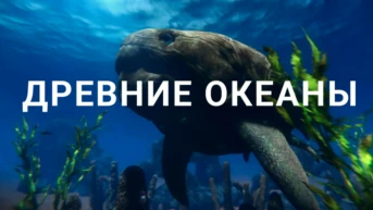 Древние океаны
