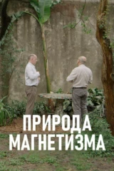 Природа магнетизма
