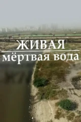 Вода живая и мёртвая