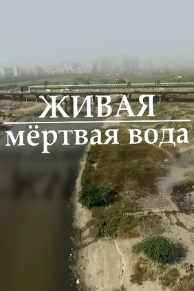 Вода живая и мёртвая