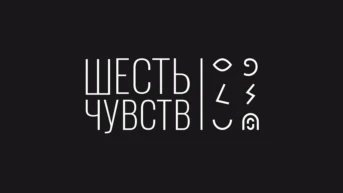6 Чувств