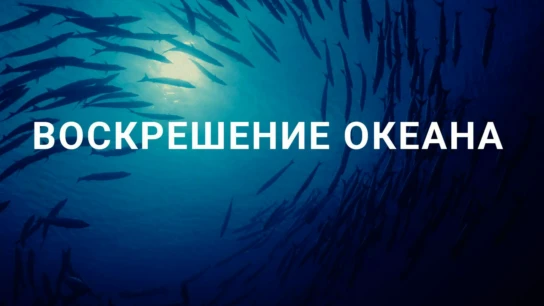 Воскрешение океана