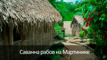 Саванна рабов на Мартинике