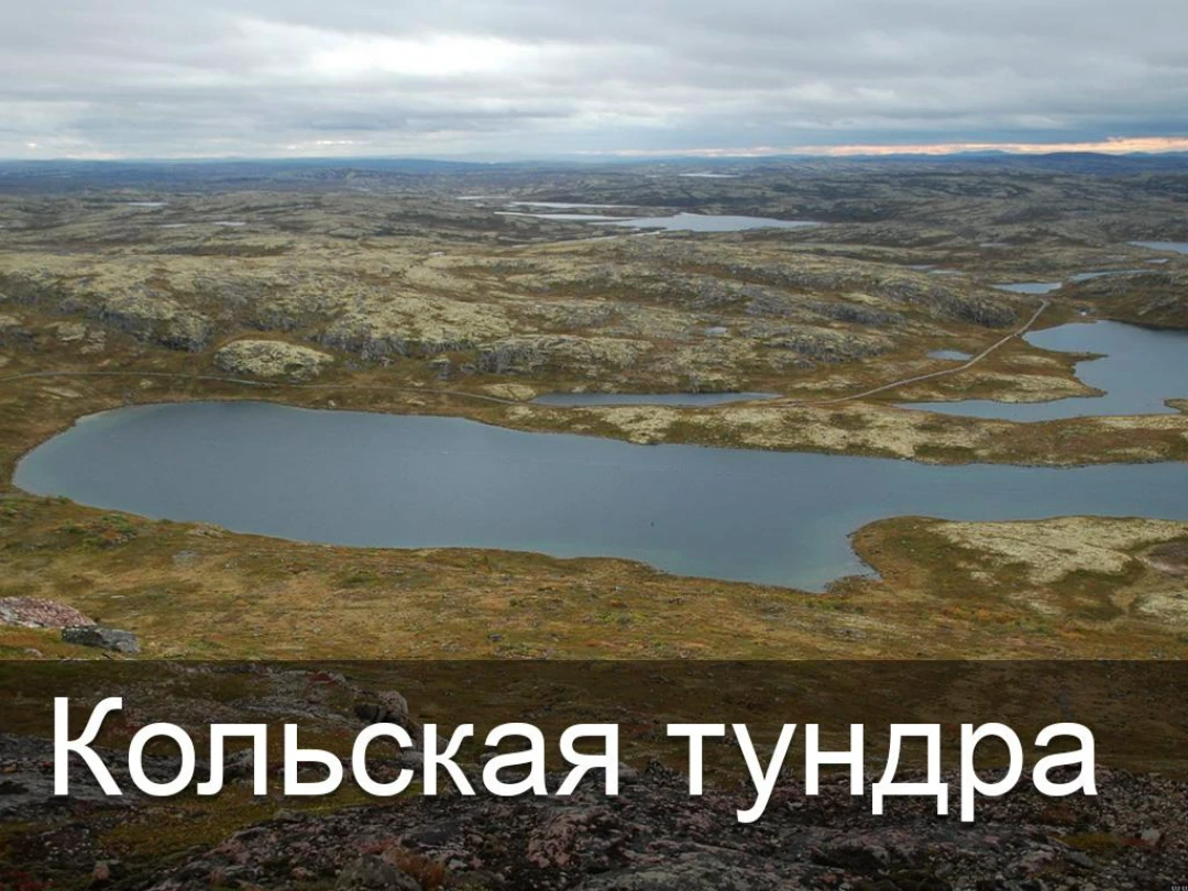 Передача Кольская тундра