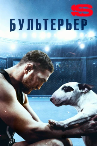 Бультерьер