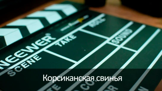 Корсиканская свинья