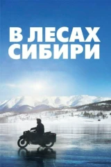 В лесах Сибири