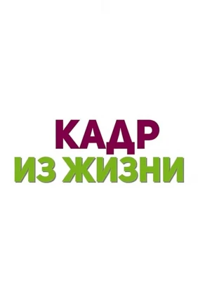 Кадр из жизни