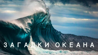 Загадки океана