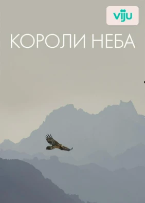 Короли неба