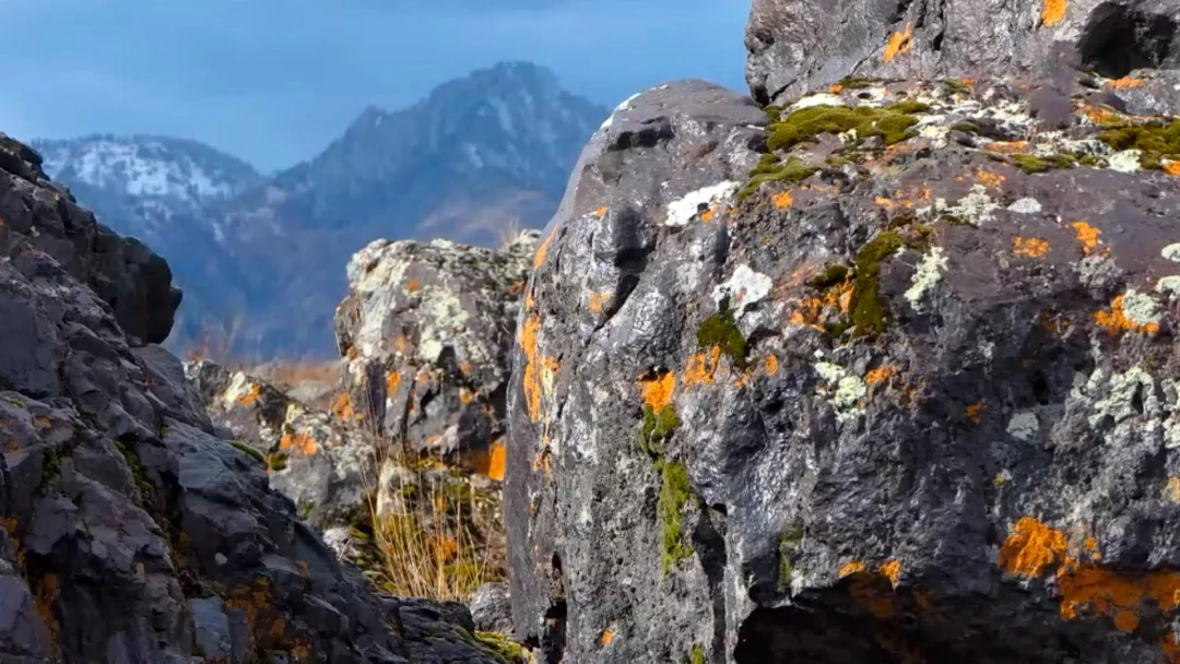 Передача Разноцветные скалы