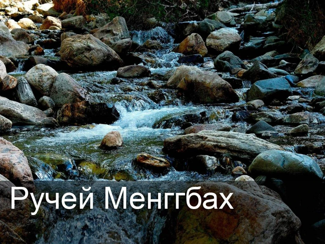 Передача Ручей Менггбах
