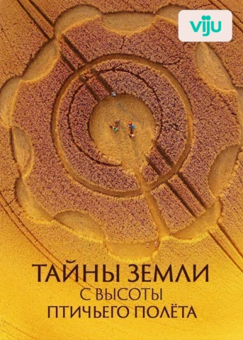 Круги на полях: современная загадка