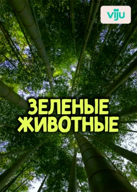 Зеленые Животные