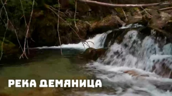 Река Демяница