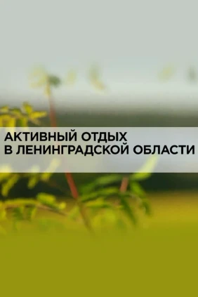 Активный отдых в Ленинградской области